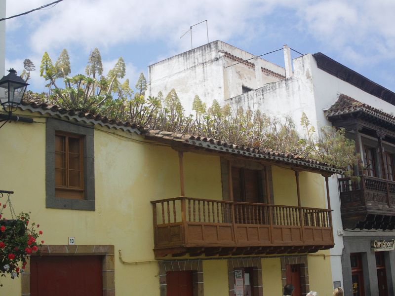 Grand Canaria 2011 / g_2_0_imag0029.jpg